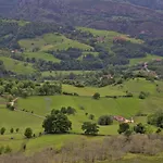 Campos