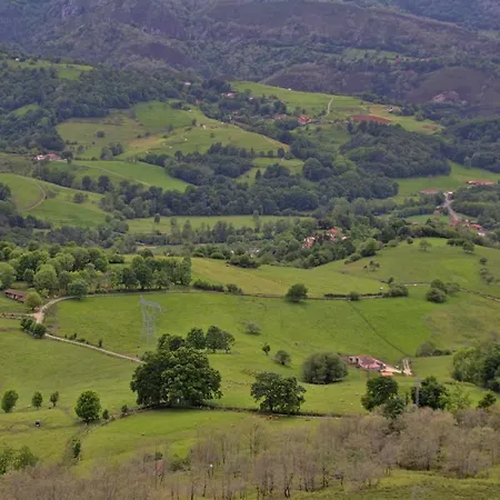 Campos