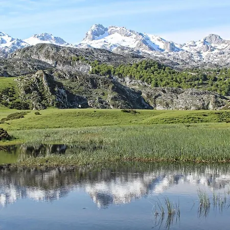 Campos Feriehus