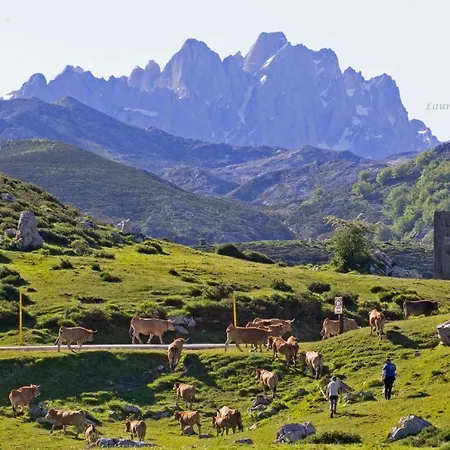 Nyaraló Campos