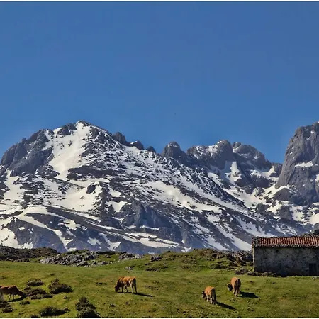 Campos Feriehus Onís
