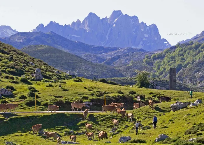 Сasa de vacaciones Campos
